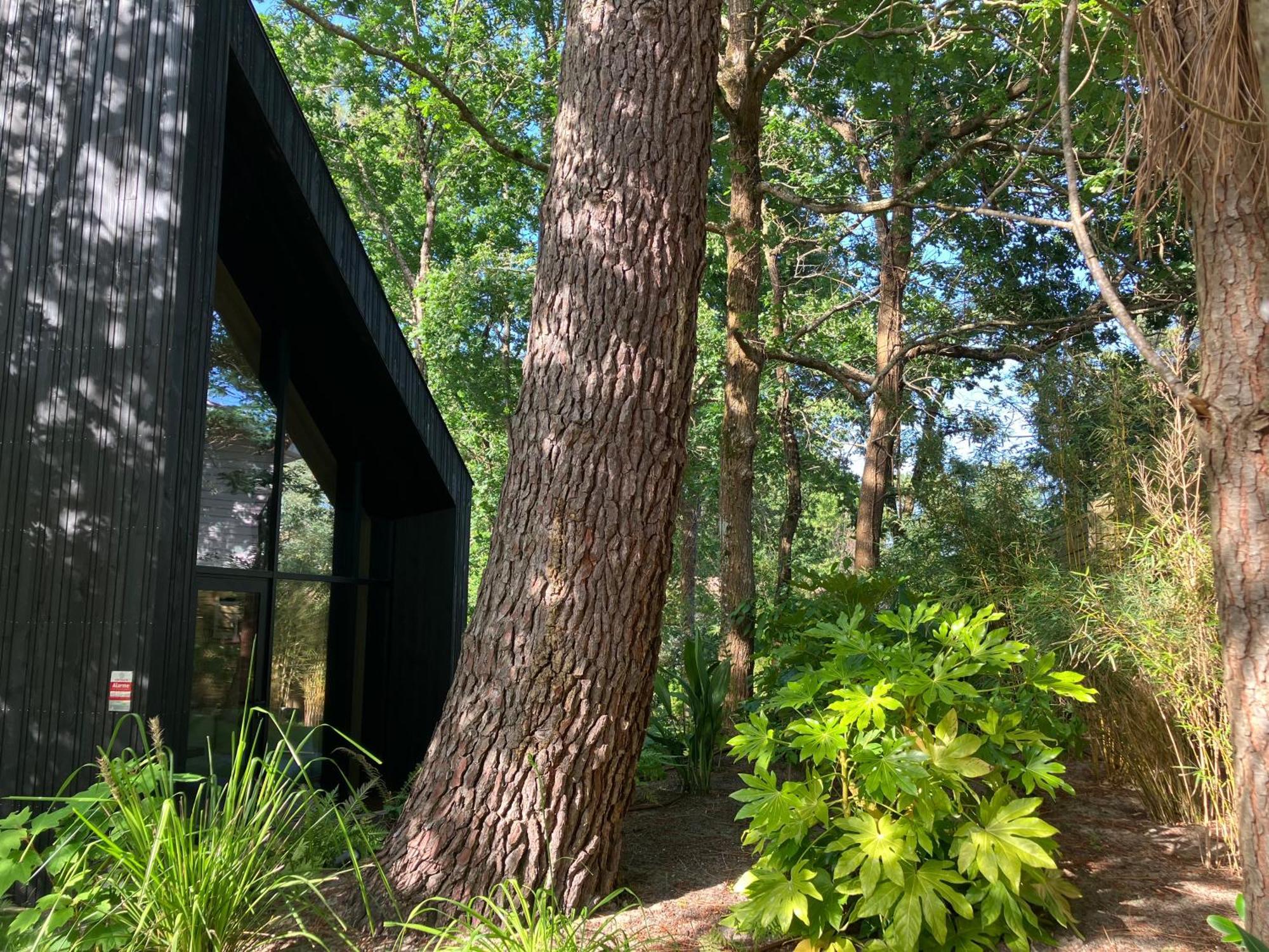 Nouveau - Ecolodge 'Calme Et Nature' - Avec Piscine Au Golf-Lac De Biscarrosse - Couchage 2 Personnes Exterior foto
